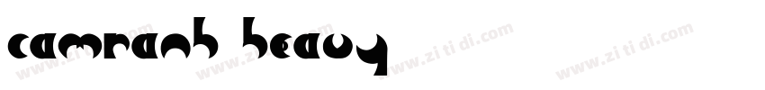 Camranh Heavy字体转换